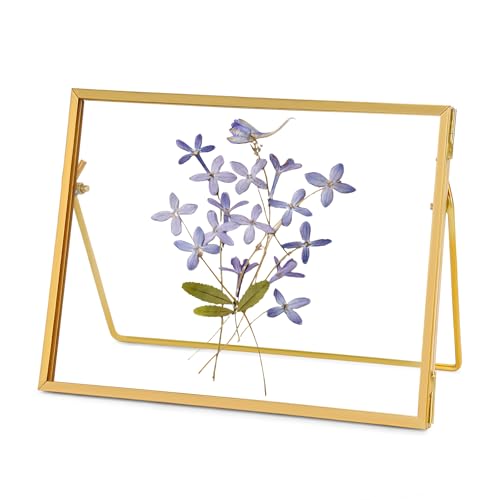 Image of REDHUGO Glass Pressed Flower Frame Handmade, Glass Floating Picture Frames Tabletop Brass Photo Frame for DIY Dried Flowers Home Plant Specimen, Rectangle Horizontal 5×7 inches,Gold (FRAME ONLY)