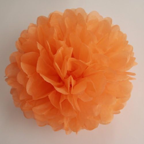 Pom Poms Multi-Colors Tissue Paper Craft Pom Poms Flowers Wedding Party Decor (Apricot)