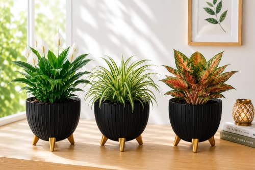 Image of Xmart India 7 Inch Decorative Plant Pot for Indoor & Outdoor Plants | Planter Pot with Stand & Legs |Ribbed Flower Pot for Home, Balcony, Garden, Living Room & Office | Plant Container (3, Black)