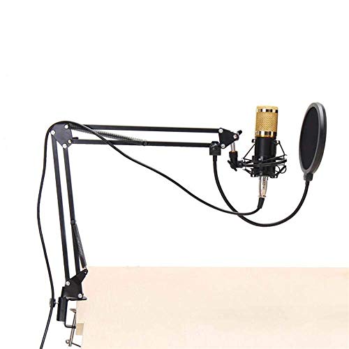 Pied de microphone perche robuste avec suspension antichoc pour studio