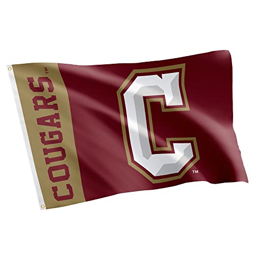 Desert Cactus College of Charleston Flag Cougars C of C Flags Banners 100% Polyester Indoor Outdoor 3x5 (Team Name)