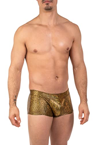 Gary Majdell Sport Mens New Printed Hot Body Boxer Swimsuit3