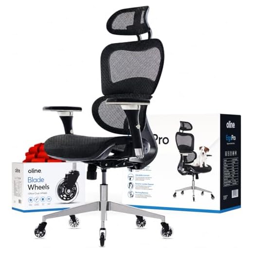 Oline ErgoPro Ergonomic Office Chair - Rolling Desk Chair with 4D Adjustable Armrest, 3D Lumbar Support and Blade Wheels - Mesh Computer Chair, Gaming Chairs, Executive Swivel Chair (Black)