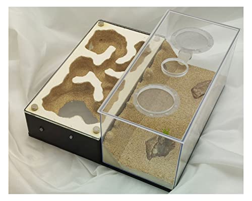 YKLL Split Ant Farm Can Be Spliced Gypsum Ant Home Box Ant Nest Ant Habitat Workshop Educational Formicarium Kit For Kids Study Of Ant Behavior Birthday Present Gift (Color : E)