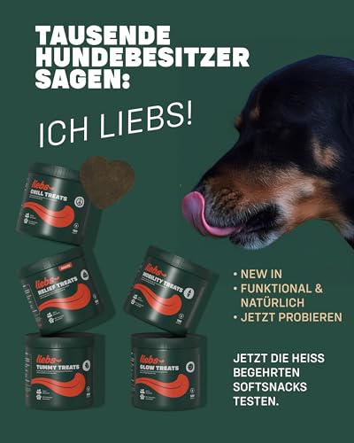 liebs Hunde Supplement Entspannung & Anti-Stress (1 x 300g) | Entspannungs Snack Hunde – Unterstützt Beruhigung - Stress & Angst | Beruhigende Chews für Hunde