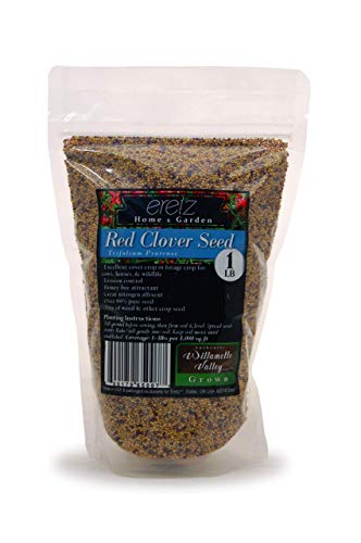 Red Clover Seed by Eretz, 1lb, Non-GMO, Willamette Valley