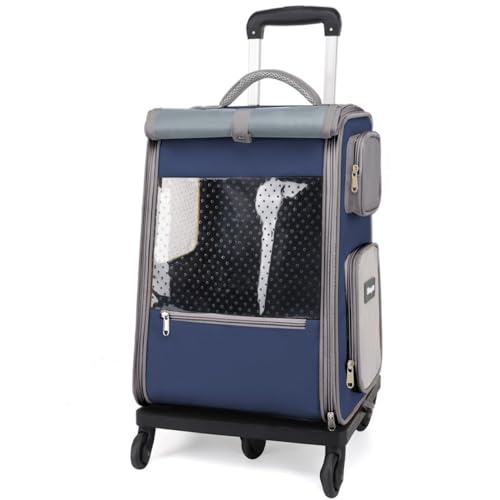 Diexgiysp̃LX^[tg[ybgobOt|[^uLX[cP[XAeʁAybgpʋCobNpbN (_[Nu[̃g[t [ȒPŕ֗])