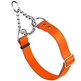 Dogline Biothane Martingale Dog Collar – Adjustable Waterproof Collar for Dogs with Herm Sprenger Assembly Chain – Fits Small, Medium & Large Dogs, L 11-15in x W 3/4in, Hunter Orange