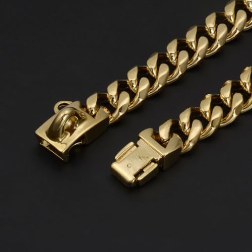 Collier chien acier inoxydable or résistant à l'usure pour animaux actifs