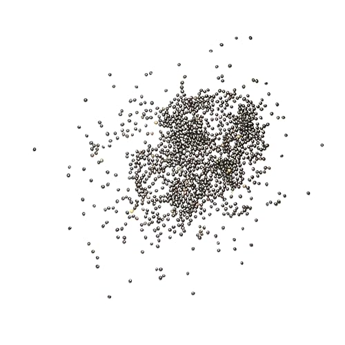 Seed Needs Coleus Seeds for Planting Rainbow Painted Nettle - Heirloom & Open Pollinated Mixed Flower Seed to Grow an Outdoor Butterfly Garden to Attract Pollinators (1 Pack)