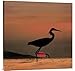 Global Gallery Budget GCS-396163-3636-142 Tim Fitzharris Little Egret Silhouetted at Sunset Africa Gallery Wrap Giclee on Canvas Wall Art Print
