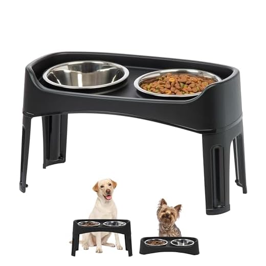 IRIS USA Elevated Dog Bowls - Dog Food Bowls Elevated for Large Dogs - Dog Raised Bowls with 2 Stainless Steel Bowls 2 Quart 12" Height - Black