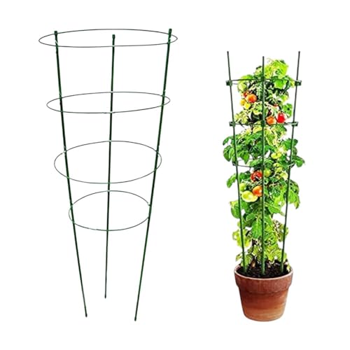 Garden Art Pack of 1 Trellis,120 CM | Plant Stakes Support with 4 Adjustable Cable Rings, Plants Trellis for All Kind of Vegetables and Flowering Climbers and Creepers | GAFS120