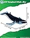 Real Planet Humpback Whale Plush Toy - Realistic Stuffed Animal Gift for Kids All Ages, Large Ocean Whale Plushie, Christmas Birthday Gifts (24