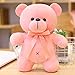 Colore Orsacchiotto Peluche Rosa 23CM