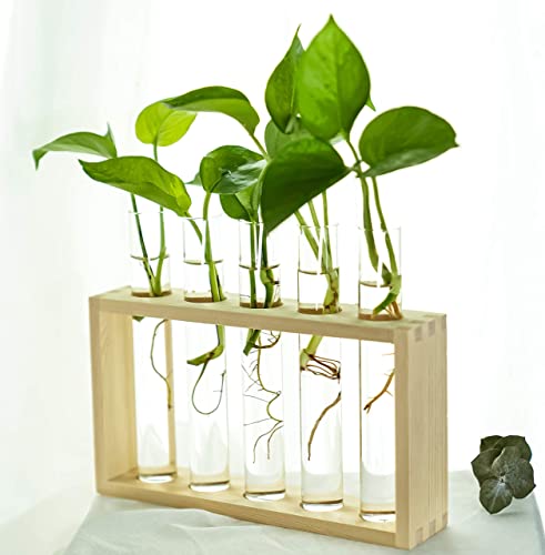 Kingbuy Wall Hanging Glass Planter Propagation Station Test Tube Vase Flower Pots In Vintage Wood Stand Rack With 5 Tabletop Terrarium Windowsill Accessory, Wedding, Kitchen (5 Test Tube) #TOP2
