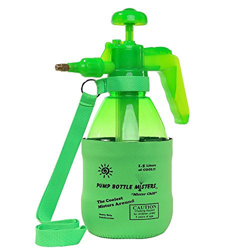 Best Personal Mister For Cooking
