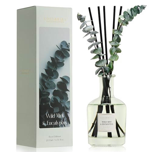 COCORRÍNA Eucalyptus & Wild Mint Reed Diffuser – 6.76 oz Essential Oil with 8 Reeds & Real Eucalyptus Sticks, Home Fragrance for Bedroom or Bathroom Décor