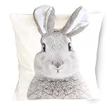Bada Bing Osterdeko Kissenhülle 3D Dekokissen Hase mit Schlappohren - Sofakissen Bezug in 40x40 cm Deko - Kissen mit Osterhase und Hasenlöffel - Couchkissen Zierkissen fürs Wohnzimmer Schlafzimmer