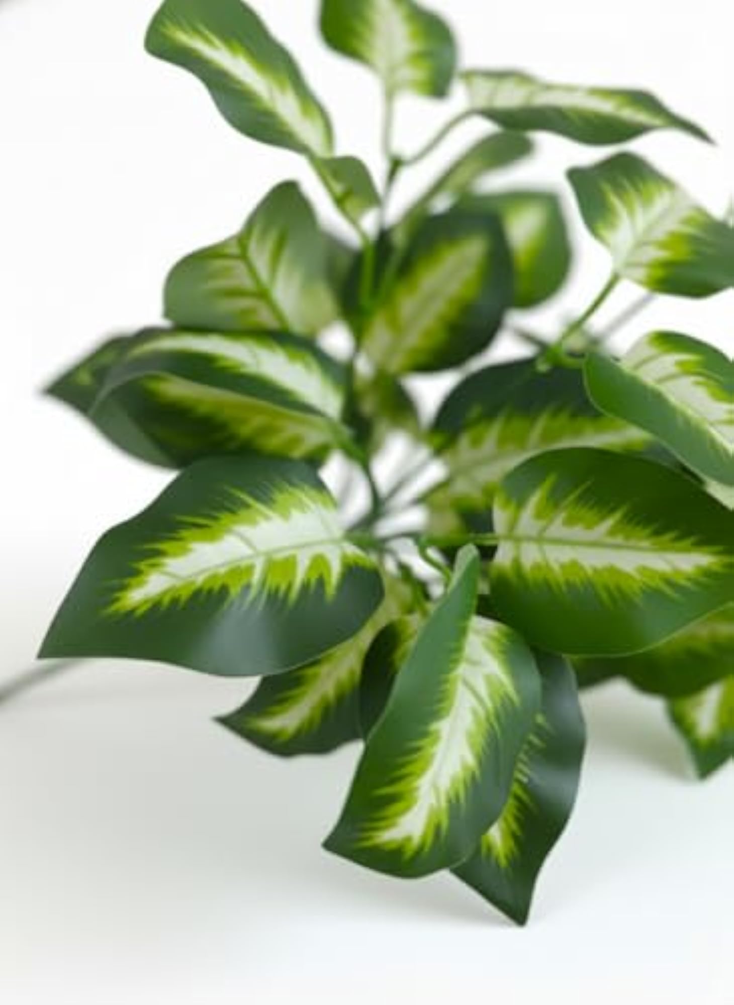 Artificial Dieffenbachia Plant Leaves