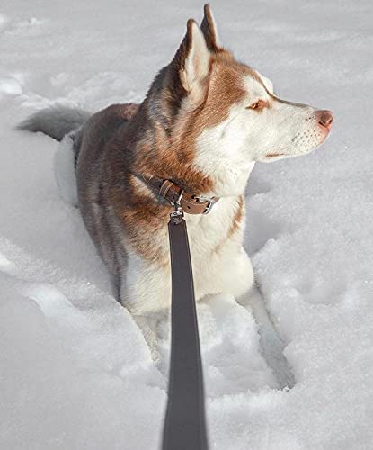 Collier chien cuir lavable durable avec plaque personnalisable de taille XL - 8
