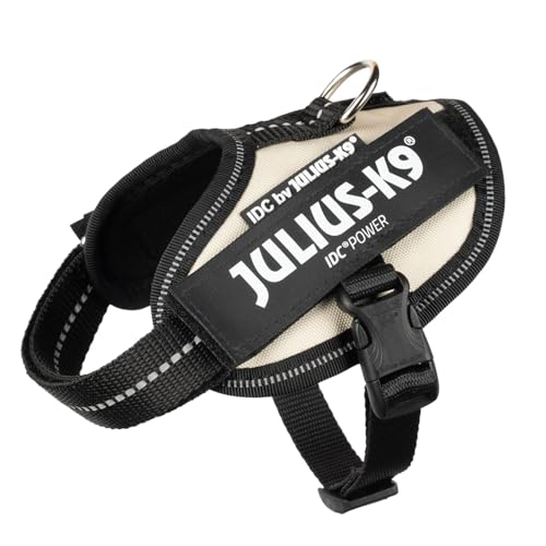 IDCp[n[lX, TCY: 2XS/xCr[2, ^