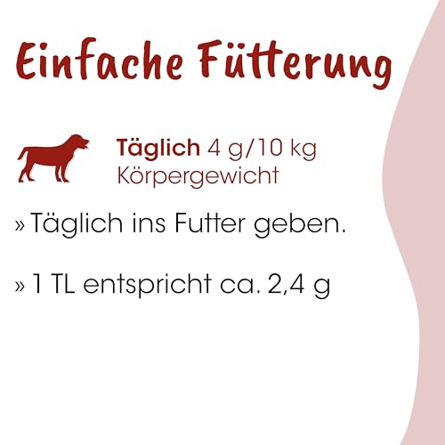 Fit-BARF QuerBeet für Hunde 2,5kg - Ergänzungsfutter Gemüse-Obst-Pulver für gesunde Rohfütterung
