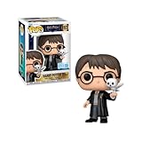Candide, Boneco, Funko POP! Buddy Harry e Edwiges, Exclusivo Harry Potter - 9 cm