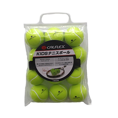 JtbNX dejXg[i[p{[(12) O[ CT-012 SP