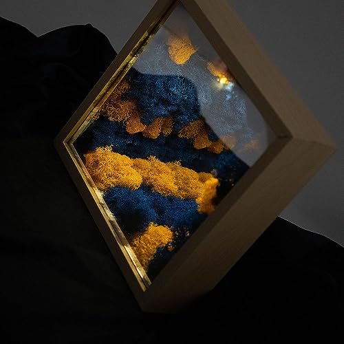 3D Infinity Mirror Light Moss, LED Night Light 3D