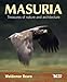 Polart Masuria: Treasures of Nature and Architecture