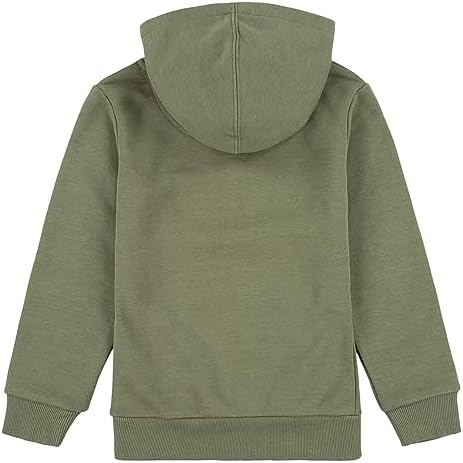 Sudadera Niño Levi´s Lvb Pullover Hoodie | Meses Sin Interés