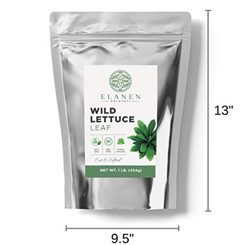 Wild Lettuce 16 oz. (1 lb. Bag), Contains Organic Non-GMO Wild Lettuce in BPA-Free Packaging, Wild Lettuce Leaf, Lactuca Virosa, Cut & Sifted - Thumbnail 3