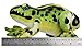 TigerHart Frisco The Frog - 10 Inch Poison Dart Tree Toad Stuffed Animal Plush