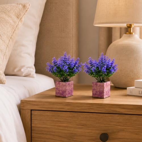 Image of DecoreBugs Artificial Eucalyptus Plant with Plastic Pot (Pack of 2) | 12 cm Height | Mini Potted Plants for Shelf Decor, Home, Office, Living Room, Desk & Table Item Decoration