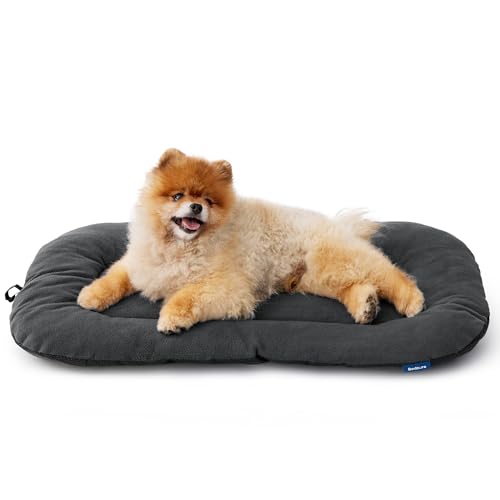BEDSURE waschbar Hundekissen für kleine Hunde - dünne Hundebette kleine Hunde, weiche und Bequeme Hundematte mit Rutschfester Unterseite- 59x43 cm,Dunkelgrau