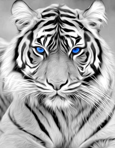 NAIMOER 5D Diamond Painting Kits for Adults White Tiger Diamond Painting Full Drill 5D Diamond Art Kits Adults Tiger Diamond Painting Rhinestone Pictures for Wall Home Decor 30x40cm