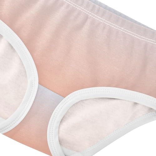 Joisal Elegant Blue Light Salmon Gradient Toddler Underwear Floral 2t Cotton Little Girl Panties Funny Briefs Undies Kids4