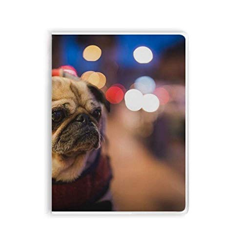 Carnet photo pour chien souple : le livre de sa vie et de vos souvenirs
