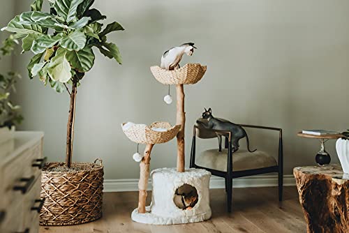 Mau Modern Cat Tree Tower For Large Cats, Real Branch Luxury Cat Condo, Wood Cat Scratching Tree, Cat Lover Gifts By Mau Lifestyle #TOP1
