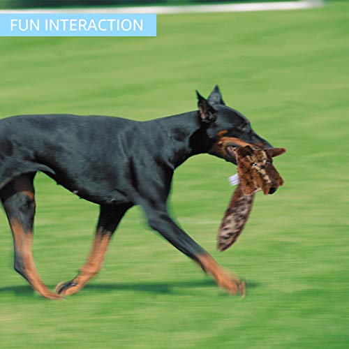 MyfatBOSS Unkaputtbares Hundespielzeug Set – 5 Stück Quietschende Plüschtiere, Unzerstörbares Hundespielzeug für Kleine und Große Hunde, Kuscheltier für Hunde, Inklusive Tierhaarentferner für Wäsche