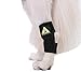 Dog Canine Rear Leg Hock Joint Wrap Protects Wounds as They Heal Compression Brace Heals and Prevents Injuries and Sprains Helps with Loss of Stability Caused by Arthritis by My Pro Supports