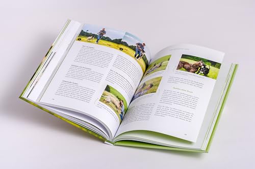 Artgerechte Hundeerziehung: Mit klarer Kommunikation zu einer unsichtbaren Leine aus Vertrauen, Harmonie und Verständnis - Mit exklusiven Video-Inhalten der Doguniversity