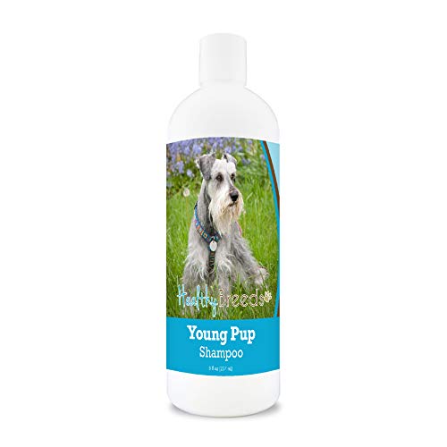 Top 10 Best Dog Shampoo For Schnauzers Reviews & Buying Guide Katynel