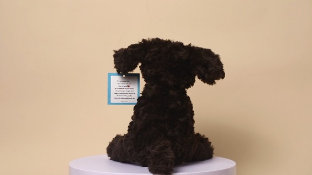 Colcolo Border Collie De Peluche: Cachorro De Pie, Suave Y Adorable, Regalo Ideal Para Niños Y Niñas