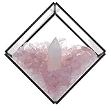 Geologie-Wissenschaft-Muster-Ausstellungs-Kit-Sammlung