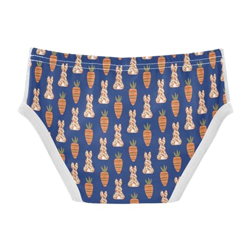 Boys' Exclusive Briefs Toddler Underwear 95% Combed Cotton Boxerbriefs 2T Carrot and Bunny Pattern 532