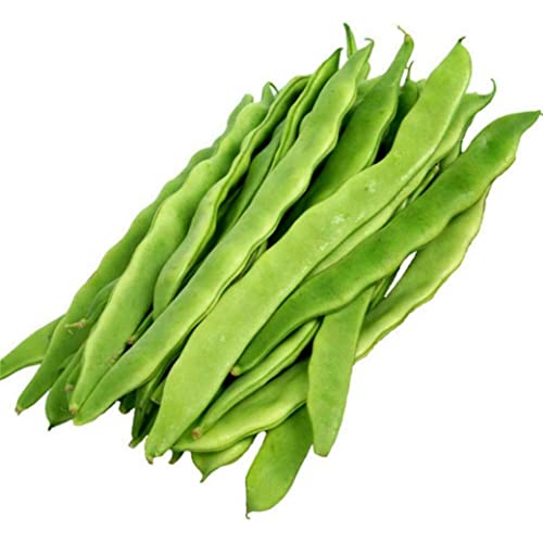 Germisem Helda Graines de Haricot à Rames 100 g