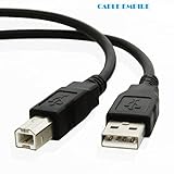 Cable Empire 10 ft Hi-Speed USB 2.0 Printer Scanner Cable Type A Male to Type B Male For HP, Canon, Lexmark, Epson, Dell