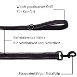 Hundeleine für große und mittelgroße mit integriertem Kurzführer reflektierende Leine 2 handschonende gepolsterte Handschlaufen 1,5 Meter Führleine